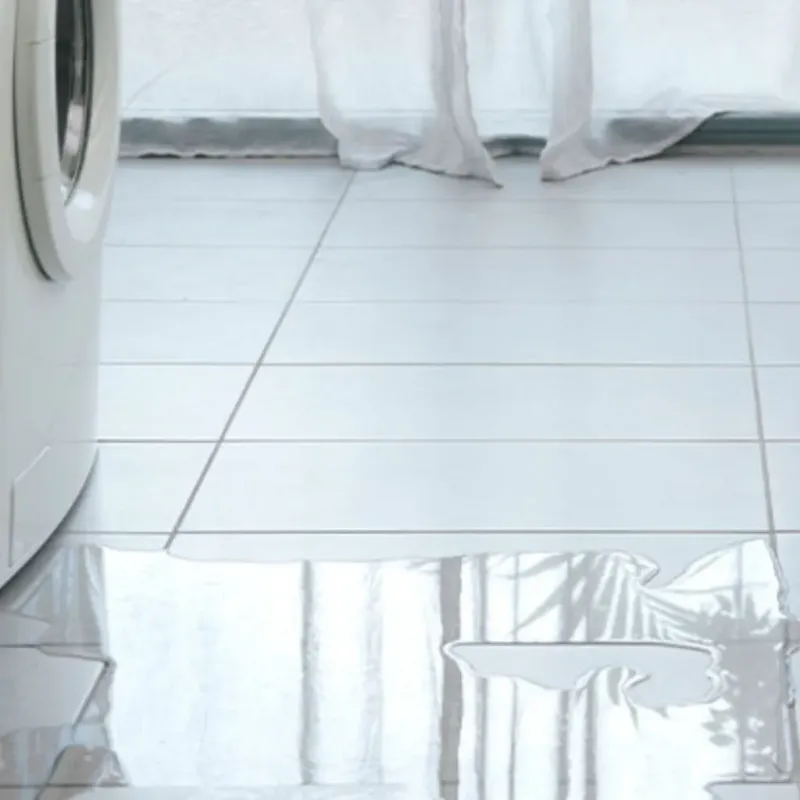 Appliance Leak Cleanup in Wheatland County, MT
